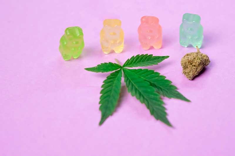 Discover The Right Strains for Ultimate Relaxation: Here's How