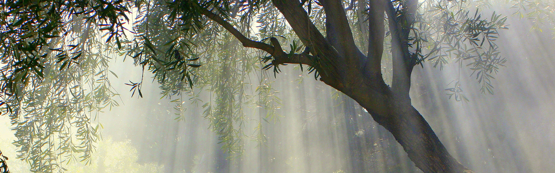 Italy natural landscape