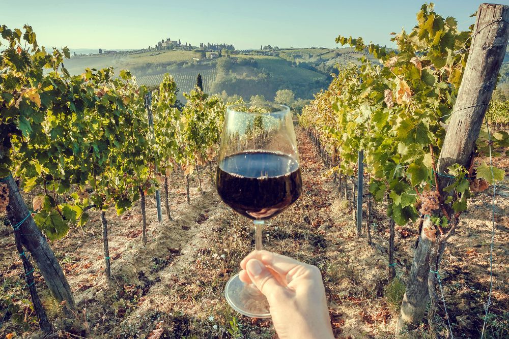 Wine tourism and cultural learning in Italy