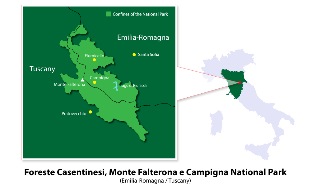 Foreste Casentinesi, Monte Falterona e Campigna National Park