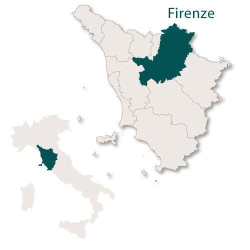 Firenze Province