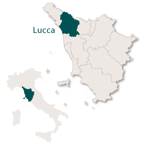 Lucca Province
