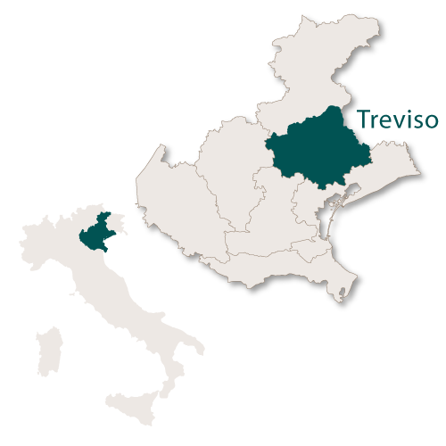 Treviso Province