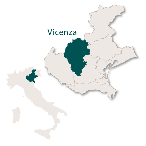 Vicenza Province